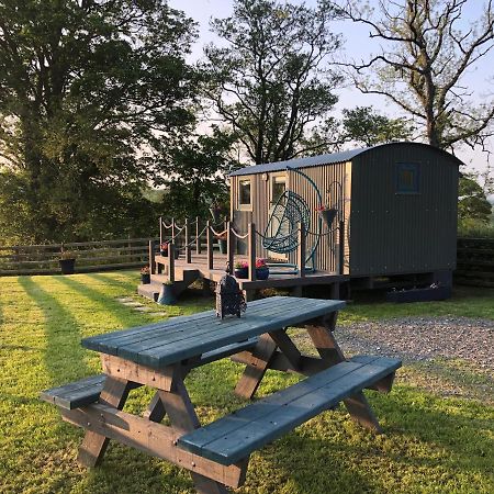 The Peacock Shepherds Hut At Hafoty Boeth 科文 外观 照片