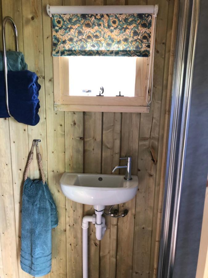 The Peacock Shepherds Hut At Hafoty Boeth 科文 外观 照片