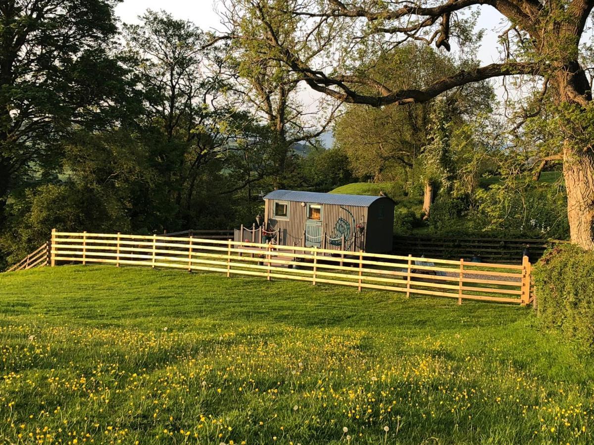 The Peacock Shepherds Hut At Hafoty Boeth 科文 外观 照片