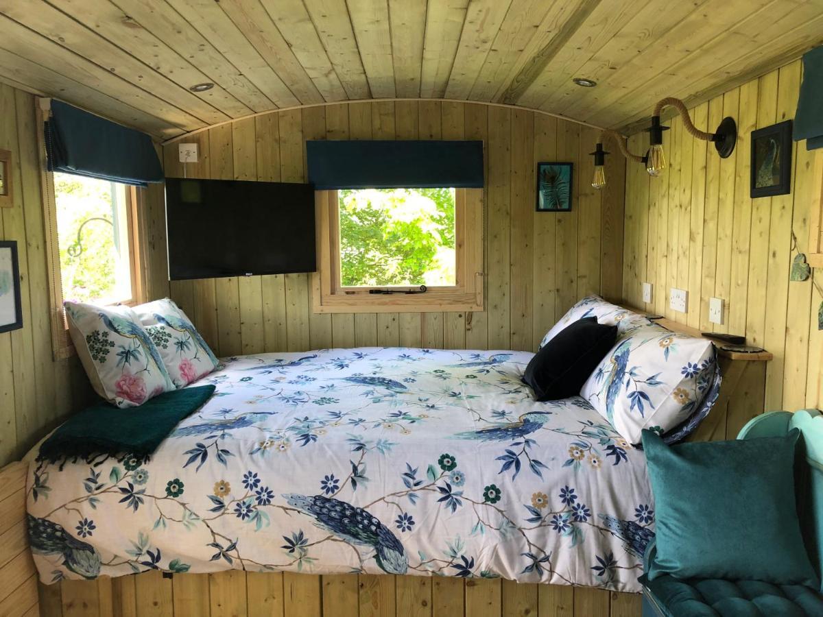 The Peacock Shepherds Hut At Hafoty Boeth 科文 外观 照片